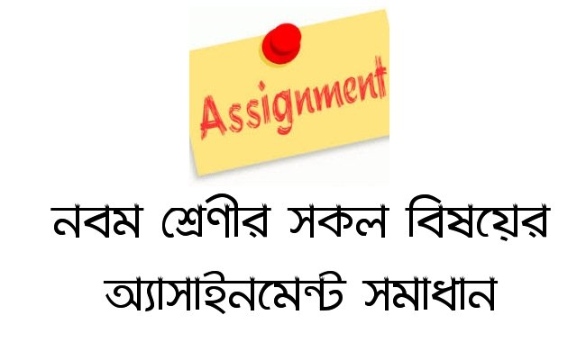 class 9 assignment answer