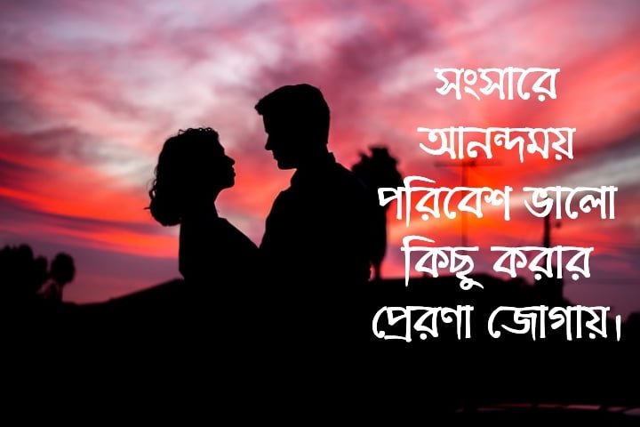 সংসার নিয়ে স্ট্যাটাস