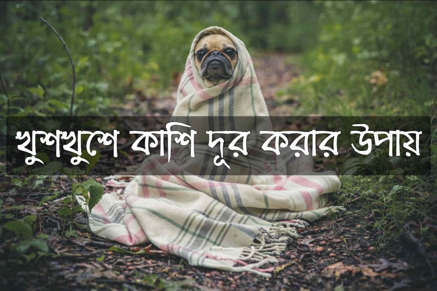 খুশখুশে কাশি দূর করার উপায়