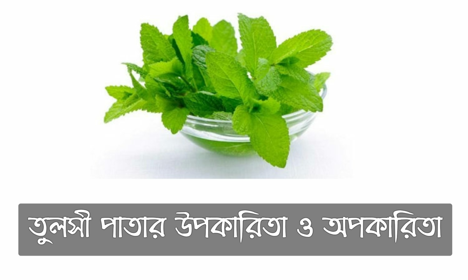 তুলসী পাতার উপকারিতা