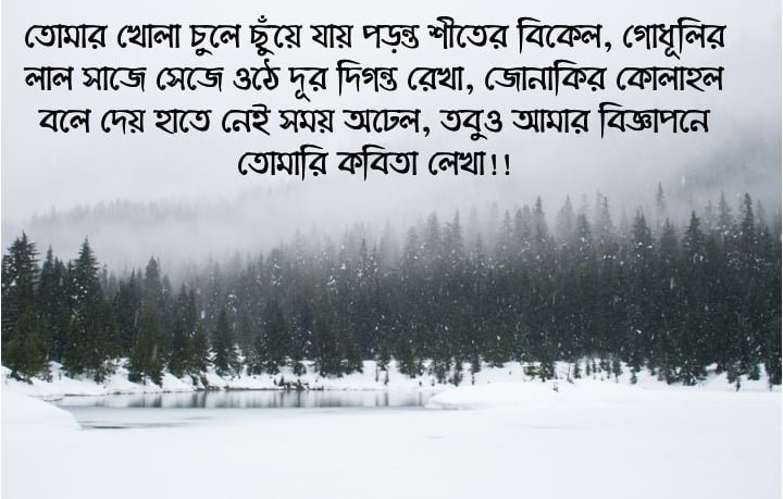 শীতের প্রেমের কবিতা