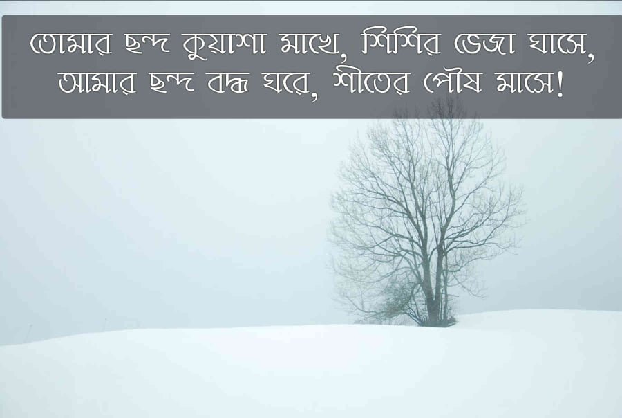 কুয়াশা নিয়ে ক্যাপশন