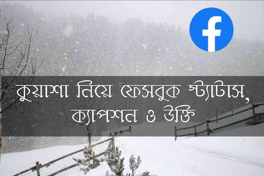 কুয়াশা নিয়ে ফেসবুক স্ট্যাটাস, ক্যাপশন ও উক্তি