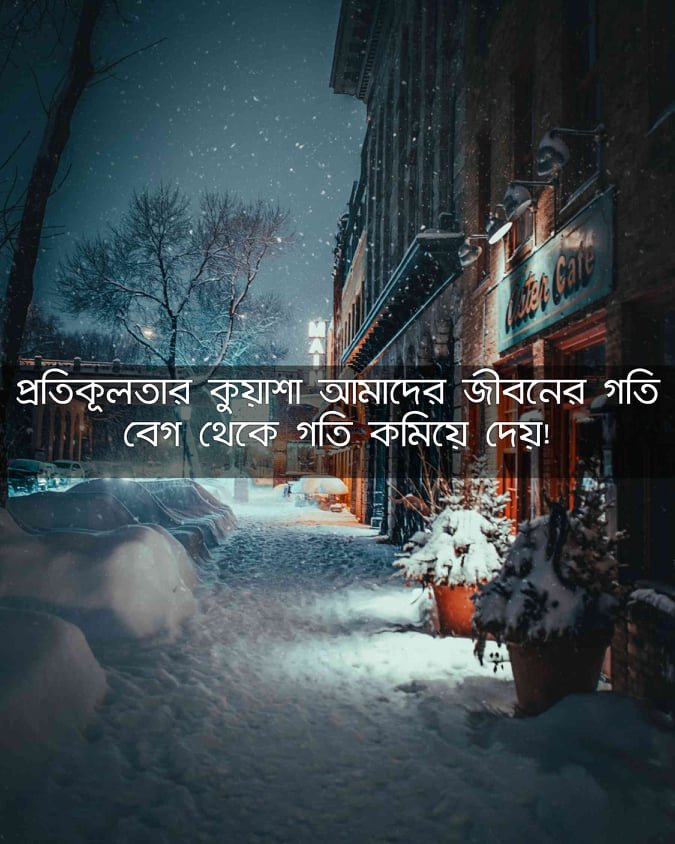 কুয়াশা ভেজা সকাল উক্তি