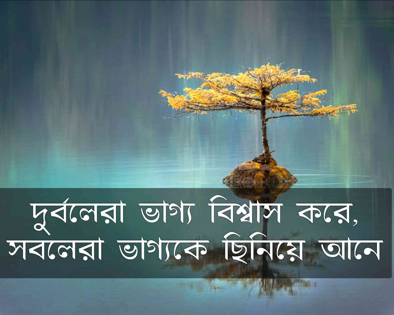 ভাগ্য নিয়ে উক্তি