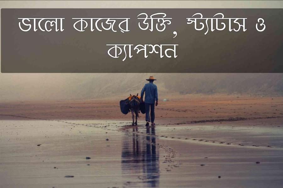 ভালো কাজের উক্তি, স্ট্যাটাস ও ক্যাপশন