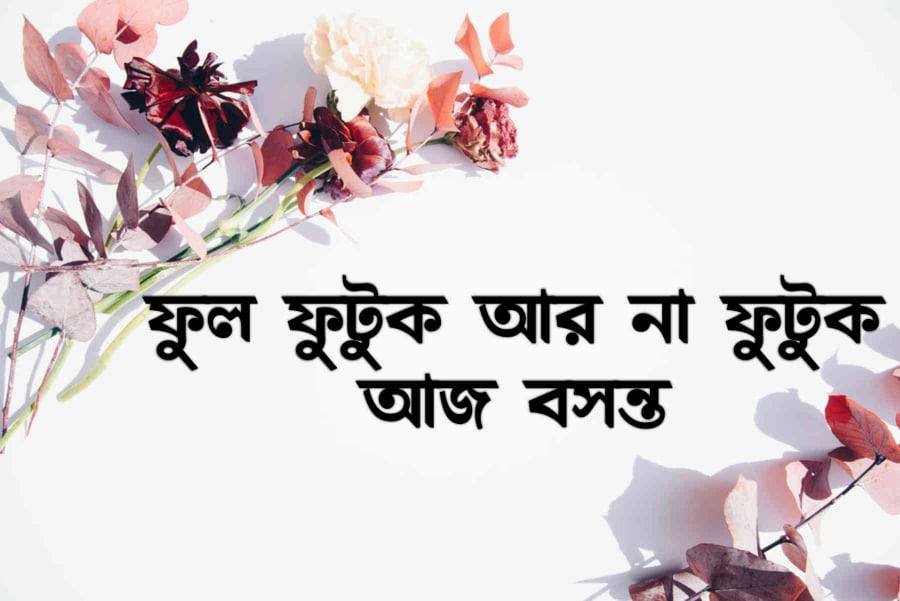 ফাল্গুন নিয়ে কিছু কথা