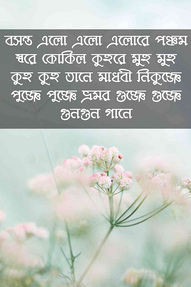 ফাল্গুন নিয়ে পোস্ট