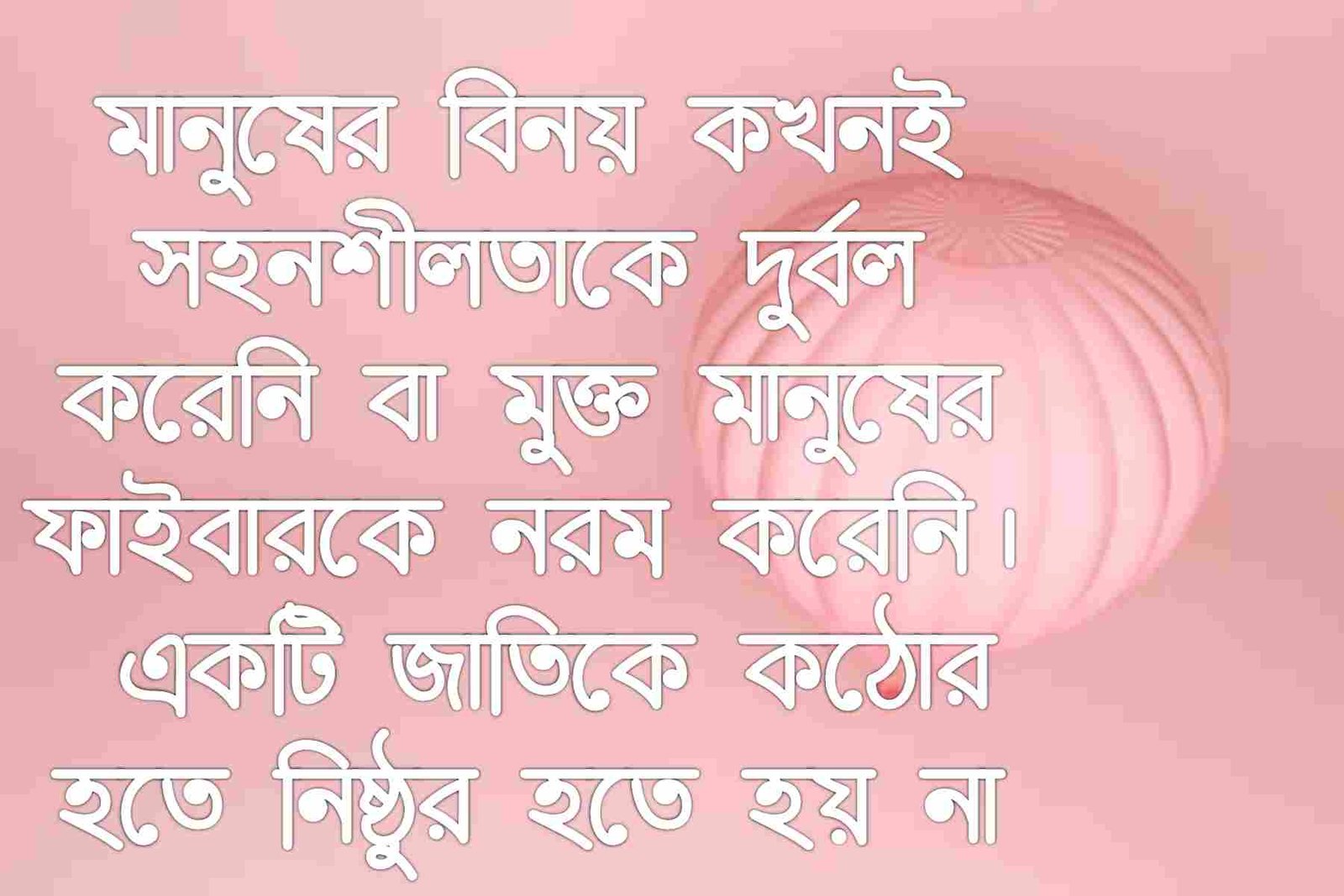 বিনয়ী স্ট্যাটাস