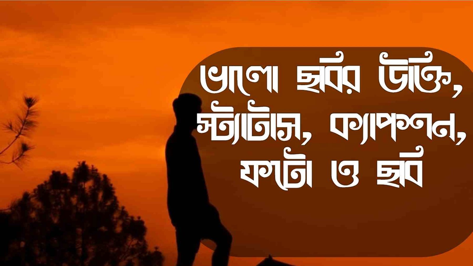 ভালো ছবির উক্তি, স্ট্যাটাস, ক্যাপশন, ফটো ও ছবি