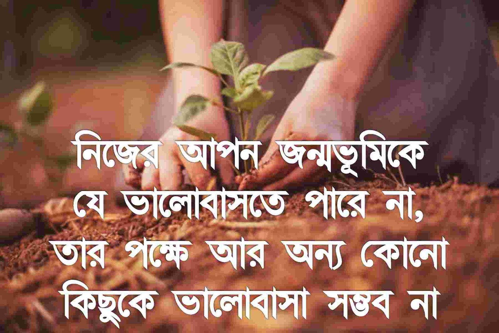 জন্মভুমি নিয়ে উক্তি