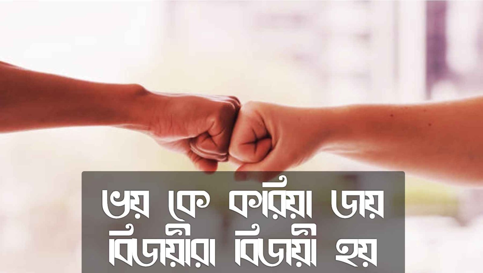 বিজয় নিয়ে কিছু কথা