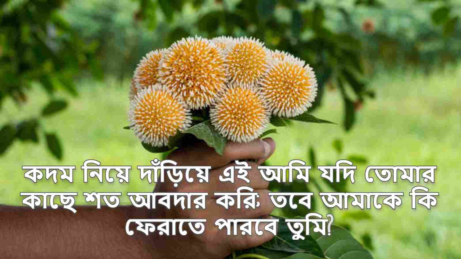 কদম ফুল হাতে নিয়ে ছবি