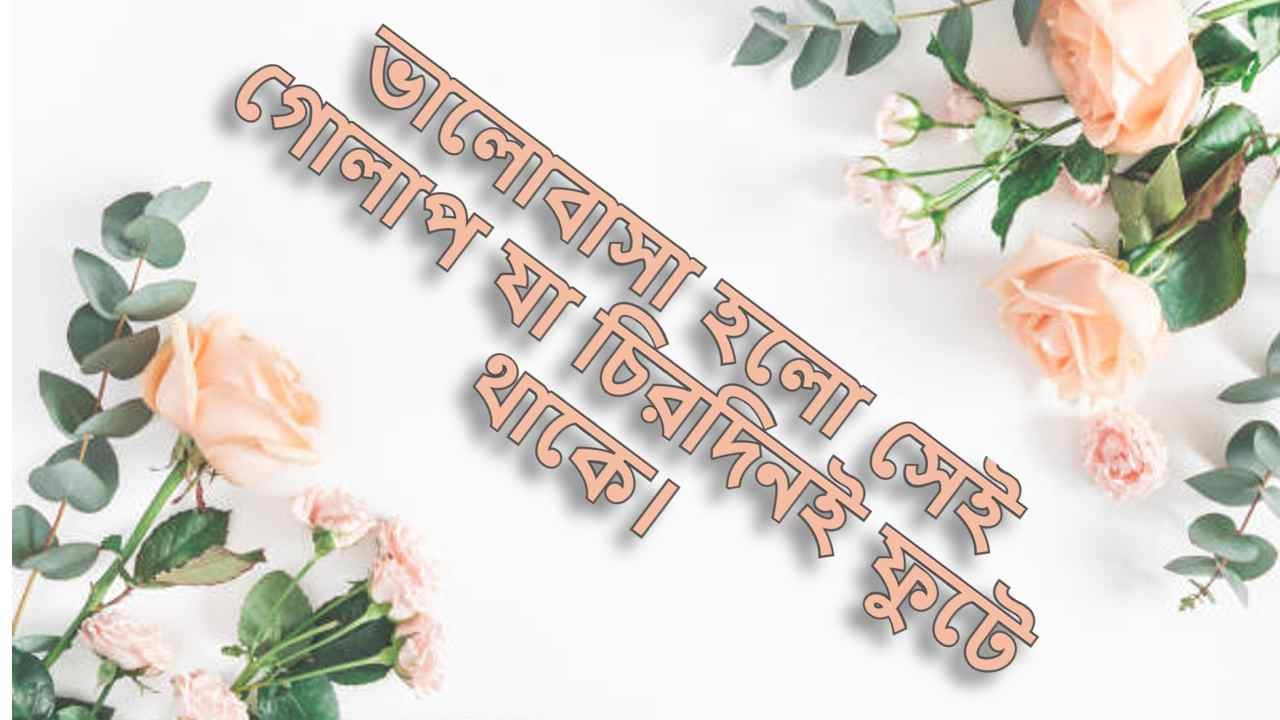 গোলাপ ফুল দিয়ে স্ট্যাটাস