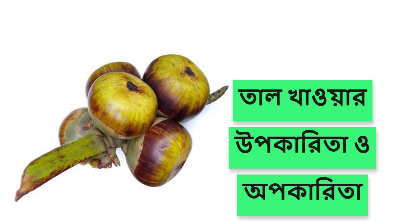 তাল খাওয়ার উপকারিতা ও অপকারিতা