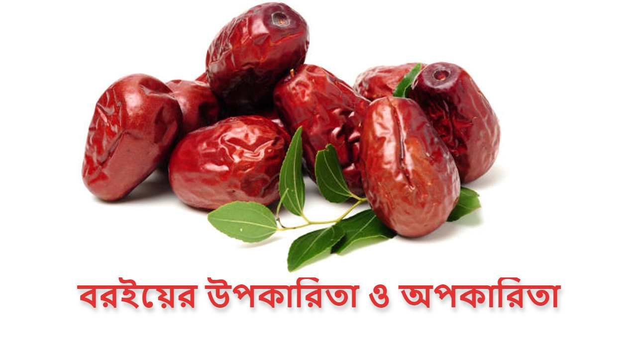 বরইয়ের উপকারিতা ও অপকারিতা