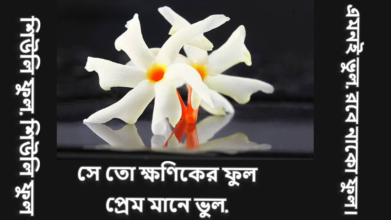 শিউলি ফুল নিয়ে উক্তি