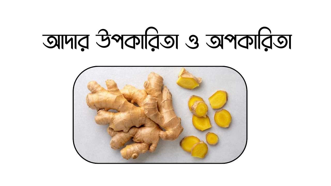 আদার উপকারিতা ও অপকারিতা