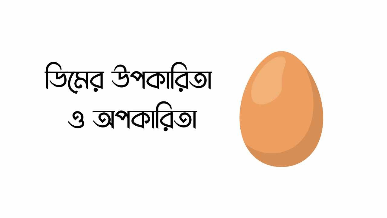 ডিমের উপকারিতা ও অপকারিতা